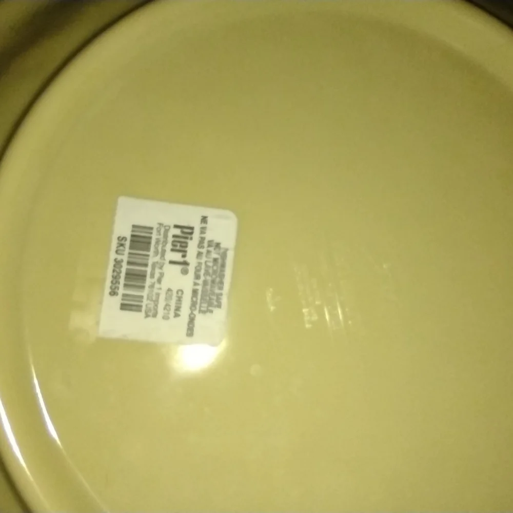 (2) Pier One Sea Life Plates